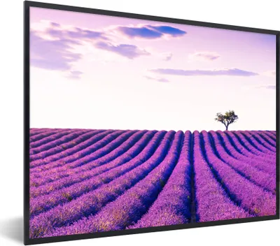 Produktbild von MuchoWow® Gerahmtes Poster Lavendel - Bäume - Lila - Blumen 80x60 cm - Poster mit Schwarzem Bilderrahmen Wandposter Rahmen Foto Bilder - Schwarzem - Mit Gestell