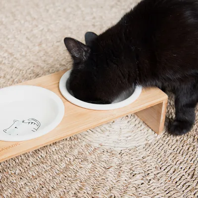 Produktbild von Navaris Futternapf Katze mit Bambus Halter - Futterstation Set Keramiknapf für Katzen Hunde - Keramik Fressnapf Set Futterbar mit Holz Halterung