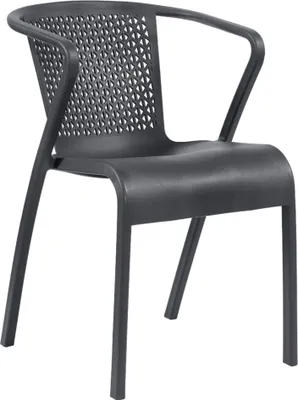 Image de Fauteuil de terrasse en POLYPROPYLENE Gris anthracite pour Exterieur