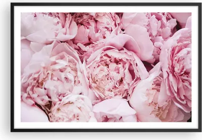Produktbild von Gerahmtes Poster - Schwarzer Rahmen - Blumenstrauß Blumen Rosa - 91,5x61 cm - Wand Bild - Wanddeko - Wandbilder - Kunstposter - Wandposter - Bilderrahmen - Bilder - Kunstdruck - P2BAA91x61-5001