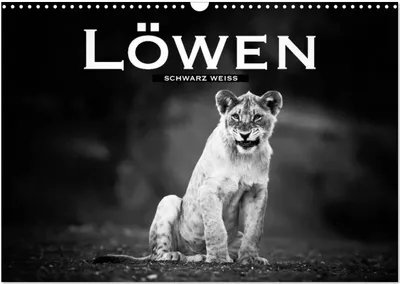 Produktbild von Löwen schwarz weiß (Wandkalender 2026 DIN A3 quer), CALVENDO Monatskalender