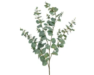 Produktbild von Eukalyptus Kunstpflanze Kunstblume  Hochzeit Dekoration grün H 118 cm