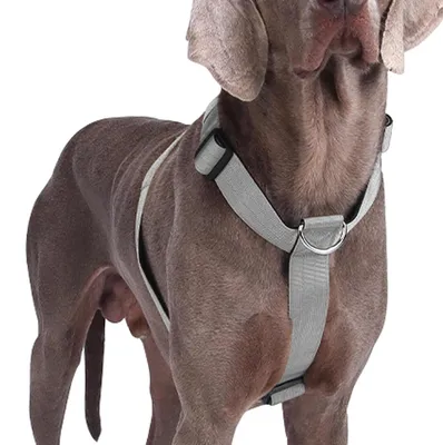 Immagine prodotto di Imbracatura per cani, antiscappamento, imbottita, antigrippaggio, colore grigio, taglia M