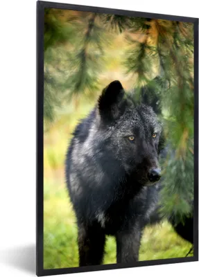 Produktbild von MuchoWow® MuchoWow® Gerahmtes Poster Wolf - Makro - Blätter 60x90 cm - Poster mit zchwarzem Bilderrahmen - Kunst