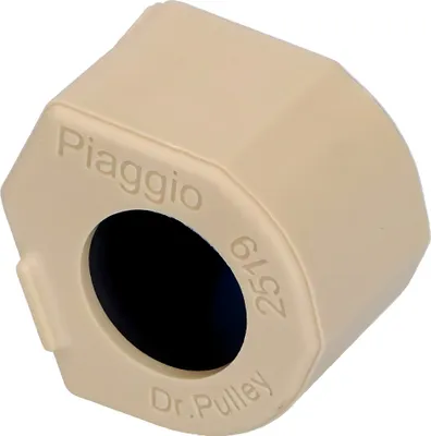 Immagine prodotto di Rullo variatore Peso variatore Piaggio, 25x19 mm, 19,0 g per GP 800, 877514