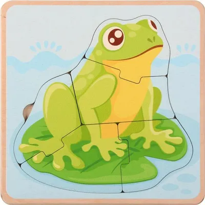 Productafbeelding van Levenscyclus puzzel: kikker