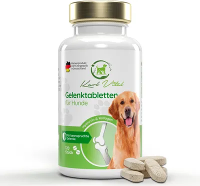 Produktbild von Gelenktabletten für Hunde Grünlippmuschel MSM Teufelskralle Kollagen 120 Stück