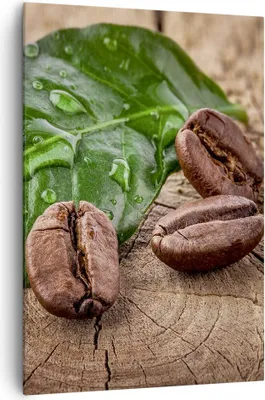 Produktbild von Bild auf Leinwand - Leinwandbild - Einteilig - Aroma Kaffee Pflanze Samen - 70x100cm - Wand Bild - Wanddeko - Wandbilder - Leinwanddruck - Wanddekoration - Leinwand bilder - Wandbild - PA70x100-2548