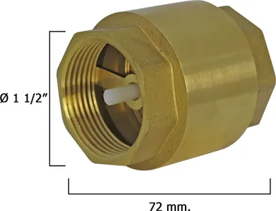 Immagine prodotto di Valvola di ritegno da 1 1/2"