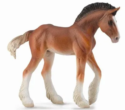 Immagine prodotto di Puledro baio di razza Clydesdale 88625 COLLECTA