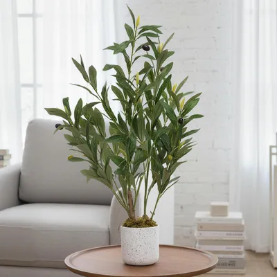 Obrázek produktu pro GarveeHome Umělá oliva, výška 60/120/130/135/150/160 cm, pokojová rostlina s realistickým vzhledem