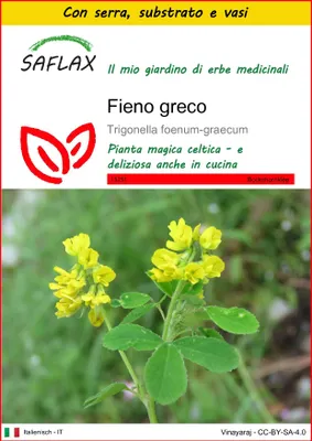 Immagine prodotto di SAFLAX Insieme di coltivazione - Fieno greco - 100 semi - Trigonella