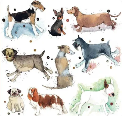 Immagine prodotto di Sottobicchiere C175 Cani - Alex Clark