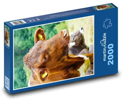 Zdjęcie produktu dla Puzzle 2000 Krowa na zielonej łące - martinpuzzle