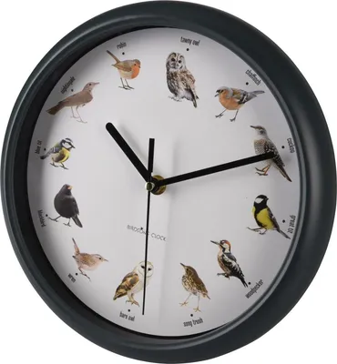 Image de H&S Collection Horloge murale avec chant d'oiseau 25 cm