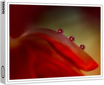 Produktbild von raxxa Premium-Puzzle "heart drops", 1000 Teile
