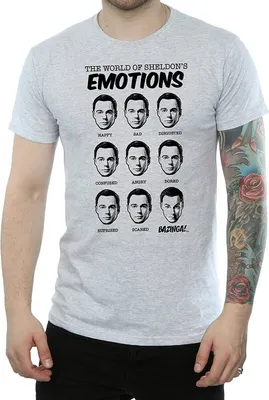 Image de The Big Bang Theory - T-shirt pour homme BI1654 (3XL) (Gris)