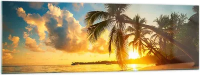 Produktbild von Bilder auf glas - Meer Strand Palme - 160x50cm - Glasbilder - Wandbilder - Kunstdruck - zum Aufhängen bereit - Wanddekoration aus Glas - Glas Bilder - Wandbild auf Glas - Einteilig - GAB160x50-3922