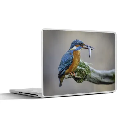 Produktbild von MuchoWow® Laptop Aufkleber Sticker Cover Eisvogel - Fisch - Tier 25x18 cm - Laptop-Deko