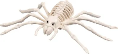 Zdjęcie produktu dla Szkielet pająka dekoracja na Halloween biały 35 cm -