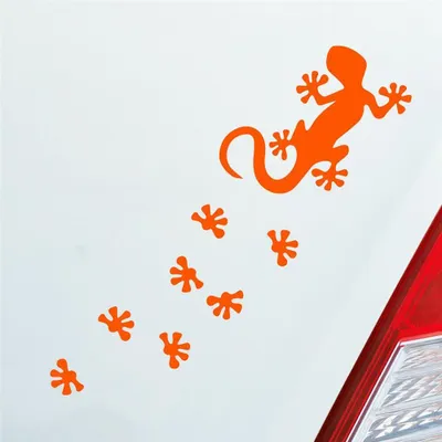 Produktbild von Auto Aufkleber Salamander Agame Echse Lizard Fußspuren 20x6 cm Orange Sticker Heckscheibenaufkleber