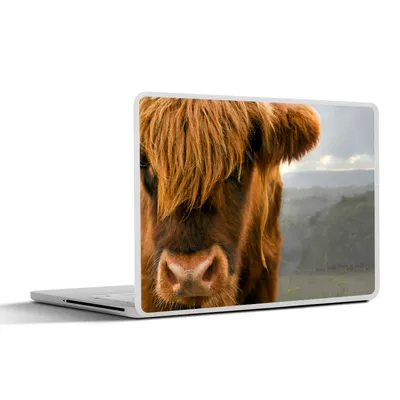 Produktbild von MuchoWow® Laptop Aufkleber Sticker Cover Schottischer Highlander - Orange - Nase 32.5x23.5 cm - Sticker für Laptop - Selbstklebend