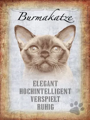 Produktbild von vianmo Holzschild 40x30 cm Burmakatze Katze