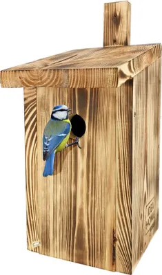Image de LEVIATAN PARIDAE Nichoir Mésange Nature pour mésanges charbonnières 33 mm en bois massif I Vissé, Nichoirs pour oiseaux – Nichoir Mésanges, Nichoir à mésanges, Nichoir à oiseaux Nichoirs à mésanges, Résistant aux intempéries