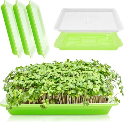 Produktbild von Samenbehälter-Set – Sprossen-Anzuchtschalen – Für den Anbau von Mikrogrün – Mit Sieb – 3 Stück – Grün