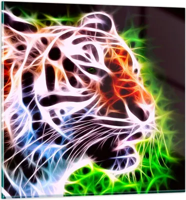 Produktbild von Bilder auf glas - Afrika aggression tiere tiger - 40x40cm - Glasbilder - Wandbilder - Kunstdruck - zum Aufhängen bereit - Wanddekoration aus Glas - Glas Bilder - Wandbild auf Glas - GAC40x40-2293