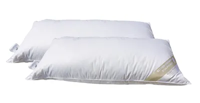 Produktbild von 2 Stück Betten Hofmann Premium 3-Kammer Kopfkissen 40x80 Daunenkissen kuschelweich