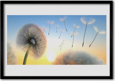 Produktbild von Bild 70x50 MDF-Rahmen Wandkunst Löwenzahn-Blumen-Anlage
