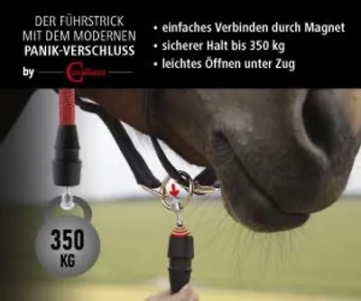 Produktbild von Pferdehalfter GoLeyGo 1 / Pony schwarz / fuchsia