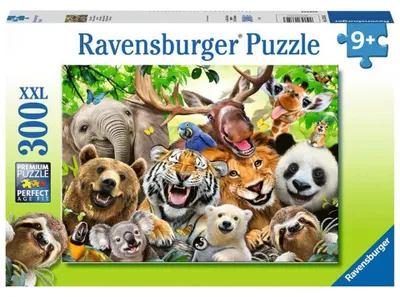 Image de Souriez, s'il vous plaît  Ravensburger 13354