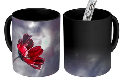 Obrázok produktu pre MuchoWow® Magický hrnček Magic Bloemen - Rood - Planten - Natuur 350 ml hrnček na zmenu farby nápad na darček - Magický hrnček - fotohrnček - keramické hrnčeky - obrázky - šálka na kávu - hrnček na pitie - šálky na kávu