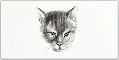 Produktbild von Coloray Bild aus Leinwand 140x70 Leinwand Dekoration - Haustier Katze
