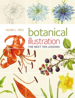 Productafbeelding van Botanical Illustration