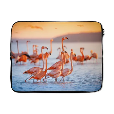 Produktbild von MuchoWow® Laptop Hülle 15 Zoll Flamingo - Tiere - Wasser - Rosa Laptoptasche - Laptoptasche - Sleeve - Rundum-Schutz