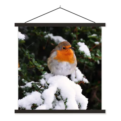 Produktbild von MuchoWow® Textilposter Rotkehlchen - Baum - Schnee 90x90 cm mit schwarzem Rahmen - Magnetisches