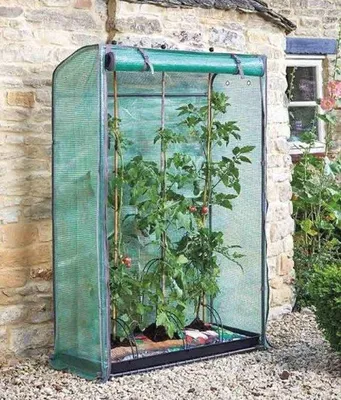 Productafbeelding van Kas van 1,5 meter voor groenten en fruit - Weerbestendige kweektent voor tomaten, komkommers en meer