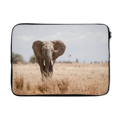 Produktbild von MuchoWow® Laptop Hülle 14 ZollElefant - Natur - Tiere - Porträt Laptoptasche - Laptoptasche - Stoßsicher - Schutzhaube