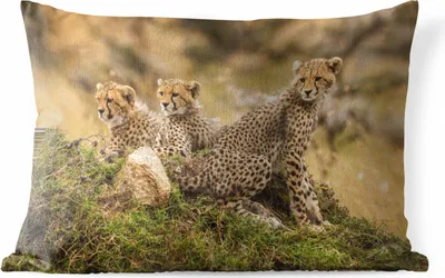Produktbild von MuchoWow® Outdoor Kissen - Leopard - Wald - Tier - 60x40 cm - Wetterfest - Lounge Kissen - Zierkissen - Kissen für Innenräume