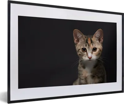 Produktbild von MuchoWow® Gerahmtes Poster Katze - Schwarz - Porträt 60x40 cm - Poster mit Schwarzem Bilderrahmen Wandposter Rahmen Foto Bilder - Schlafzimmer - Plakat in Rahmen - Drucken