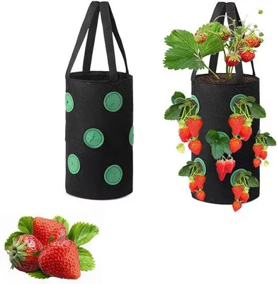Obrázek produktu pro Závěsné sáčky na jahody - Ideální pro zeleninu a bylinky - 5 kusů - Netkaný materiál