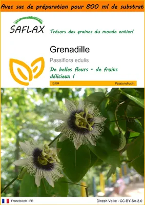 Image de SAFLAX Garden in the bag - Grenadille - 40 graines - Passiflora