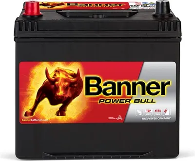 Zdjęcie produktu dla Autobaterie Banner Power Bull P60 09, 60Ah, 12V ( P6069 )