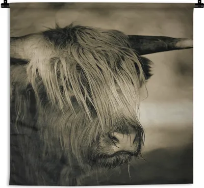 Produktbild von MuchoWow® Wandteppich Wandbehang Schottisches Hochlandrind - Tiere - Haare 90x90 cm Tapisserie Dekoration Wandtuch - Wandaufhänger