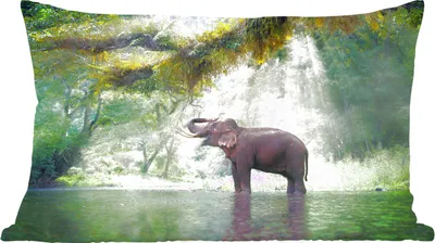 Produktbild von MuchoWow® Zierkissen Sofakissen Wohnzimmer Dekokissen 50x30 cm Dschungel - Elefant - Wasser - Wohnzimmerdekoration - Polster mit Photo