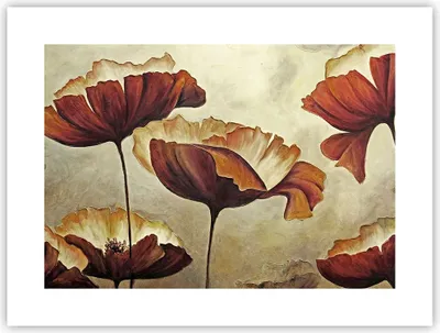 Produktbild von Poster - Poster ohne Rahmen - Mohn Blume Wiese - 40x30 cm - Wand Bild - Wanddeko - Wandbilder - Kunstposter - Wandposter - Bilder - Kunstdruck - Wanddekoration - Wandbild - P2XAA40x30-3760