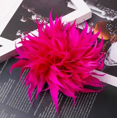 Produktbild von Carla Broschen für Frauen Baltasar fuchsie One size